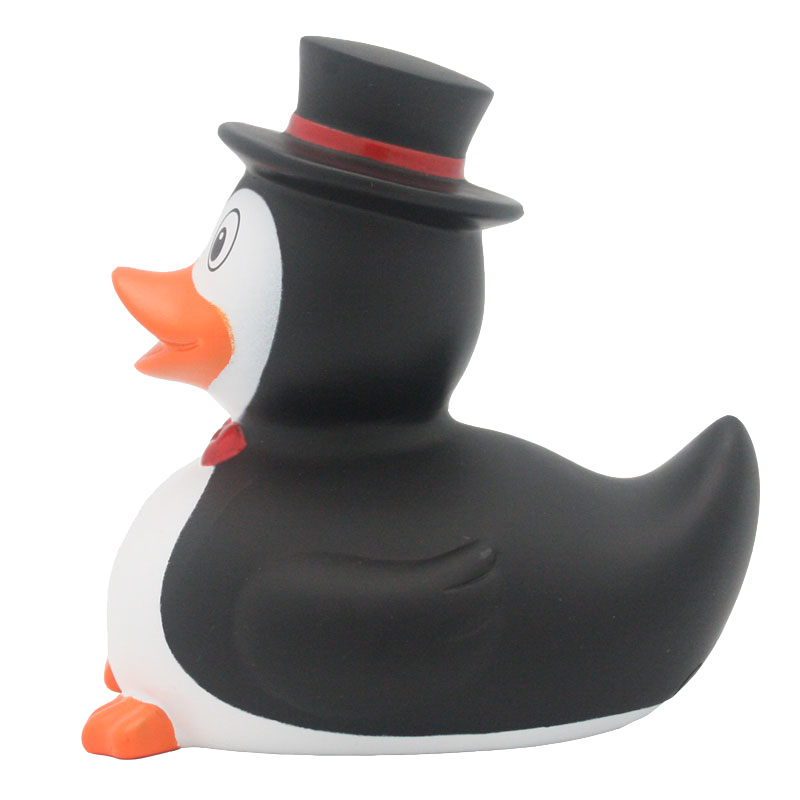 Penguin duck