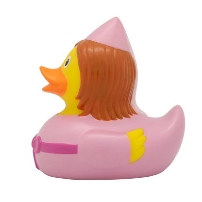 Fairy fairytale duck