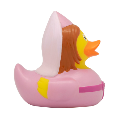 Fairy fairytale duck