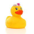 canard-princesse-schnabels