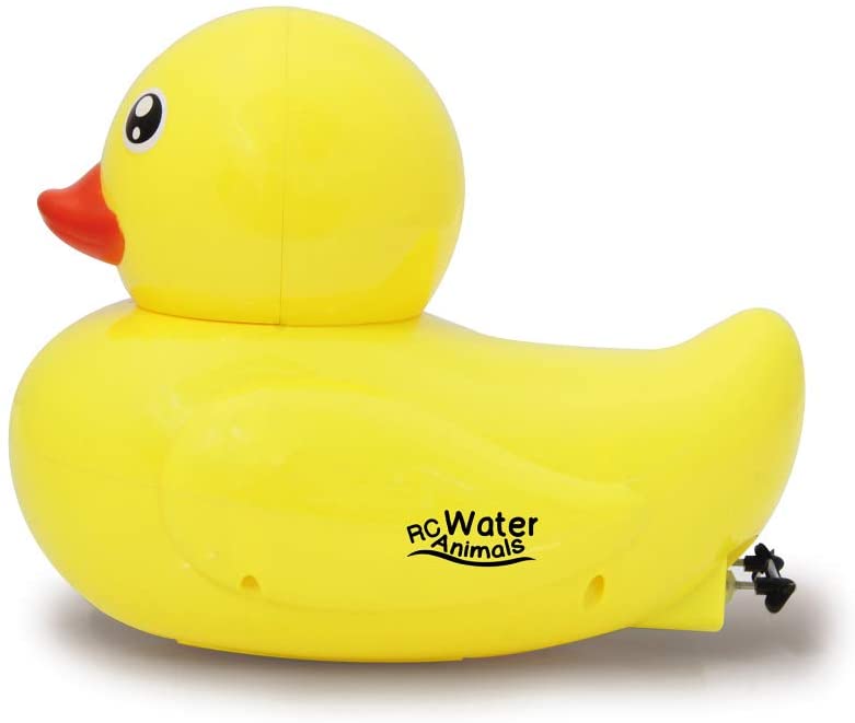 canard-radiocommande