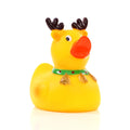 Canard Renne de Noël