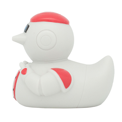 Duck robot