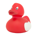 Duck SHARE HAPPINESS