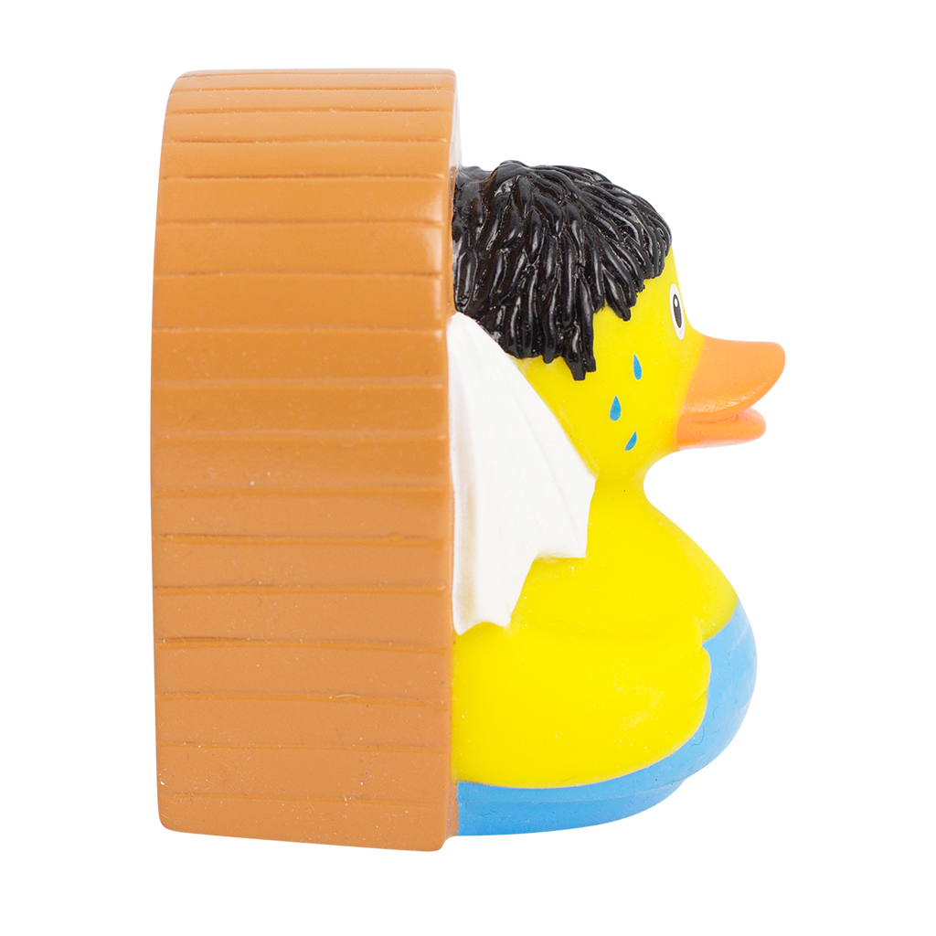 canard-sauna-lilalu