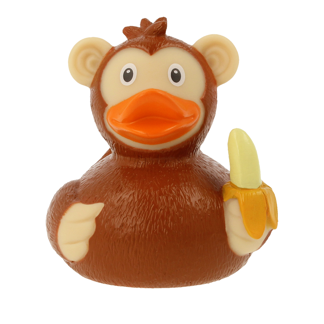 Canard Singe