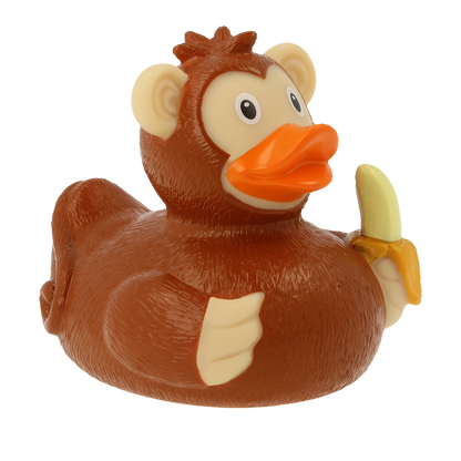 Canard Singe