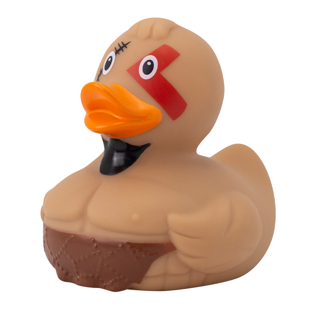 Spartan duck