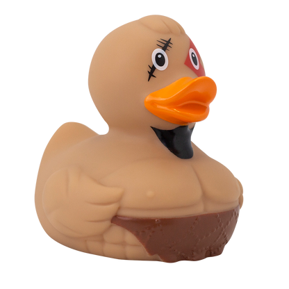 Spartan duck