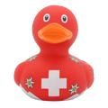 Swiss duck