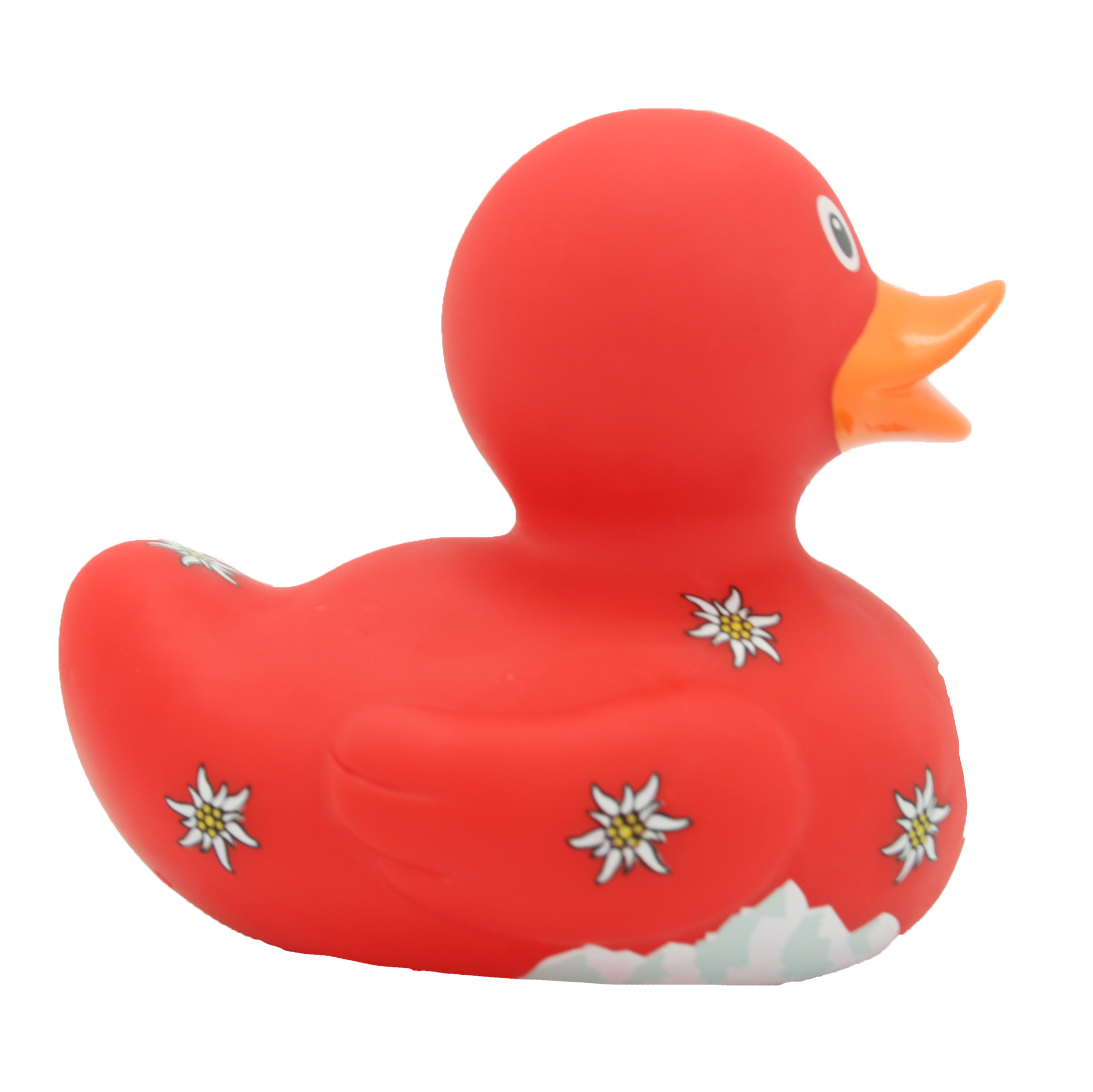 Swiss Duck