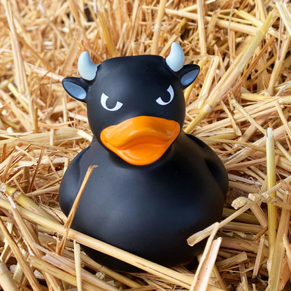 Black bull duck