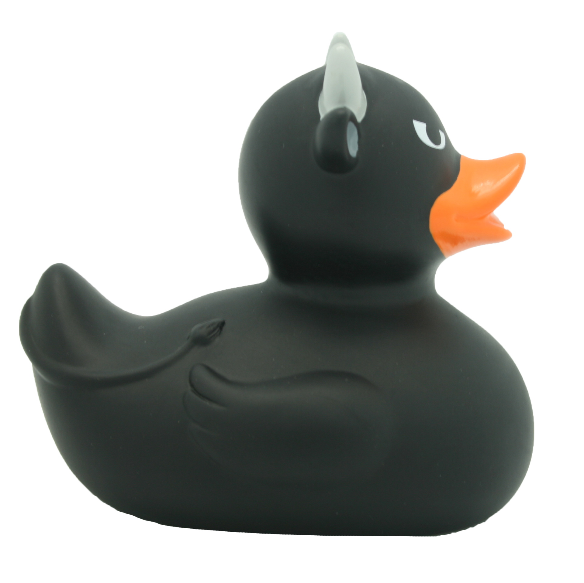 Black bull duck