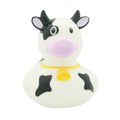 Dairy cow