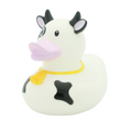 Canard Vache Laitière