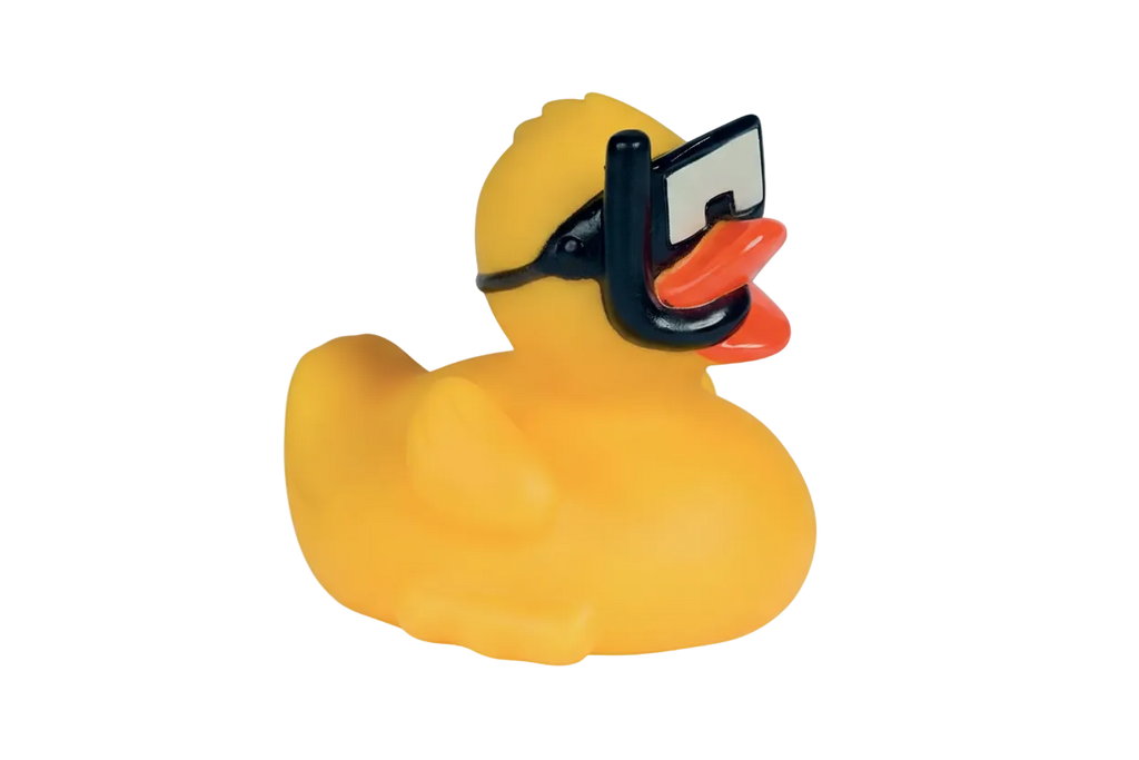 Duck Snorkel and Diving Mask