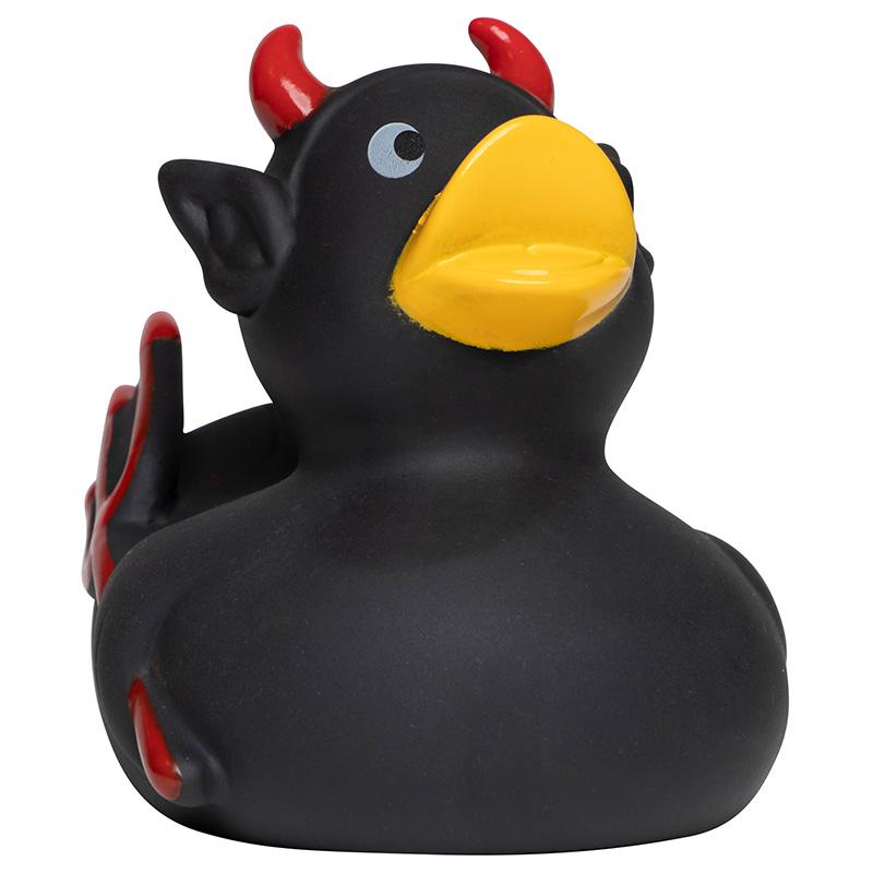 Schwarze Teufelsente
