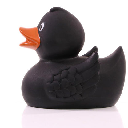 Black duck