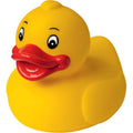 Canard L MBW