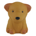 Puppy Parade Caniche