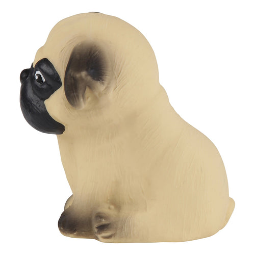 Hundewelpenparade Carlin