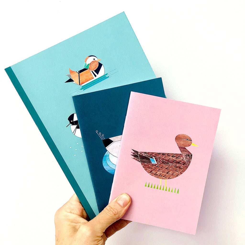 carnet-de-note-mme-canard-colvert-ellie-good-illustration