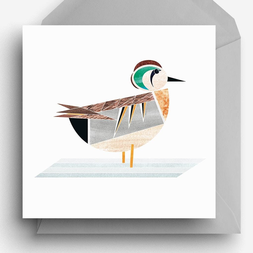 carte-de-voeux-canard-sarcelle-elegante-ellie-good-illustration