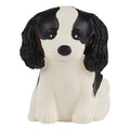 Puppy Parade Cavalier King Charles
