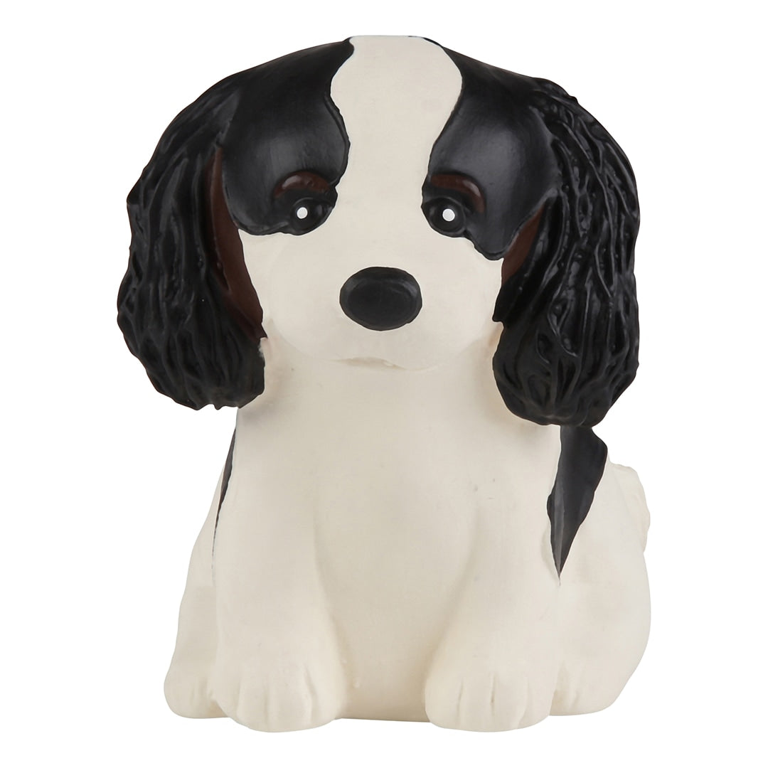 Puppy Parade Cavalier King Charles