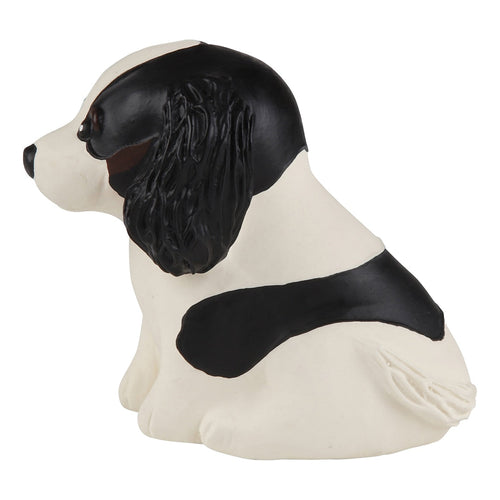 Welpenparade Cavalier King Charles