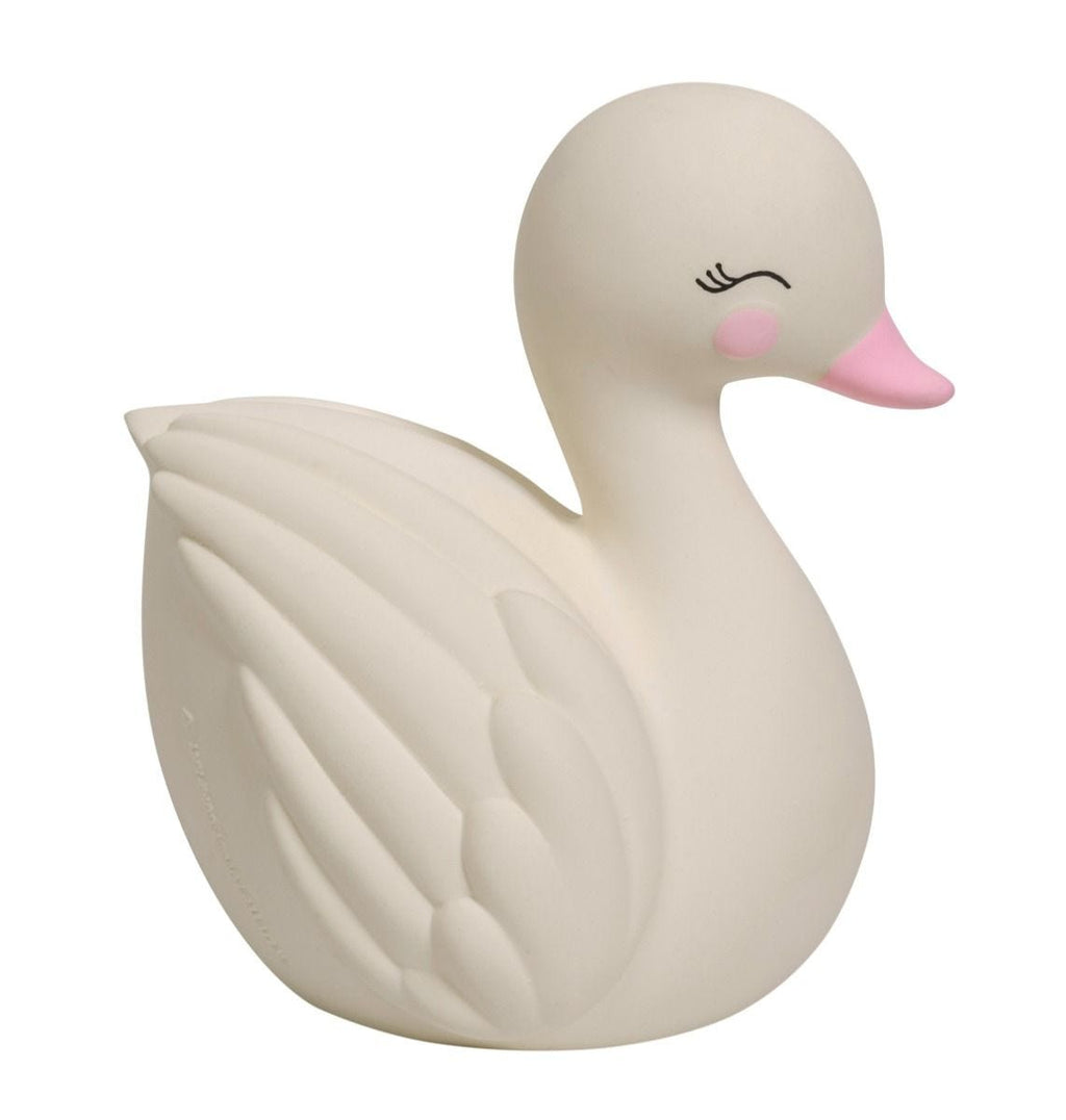 Cygne de Dentition
