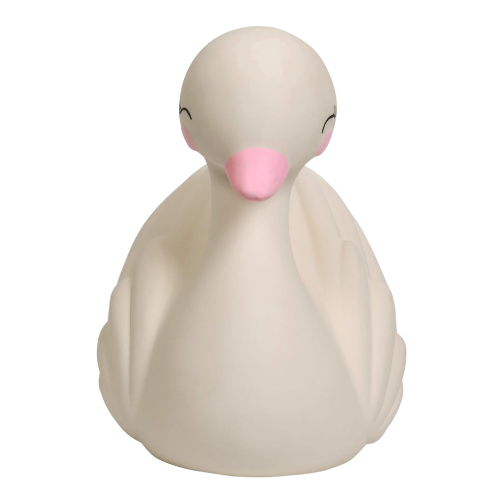 Cygne de Dentition