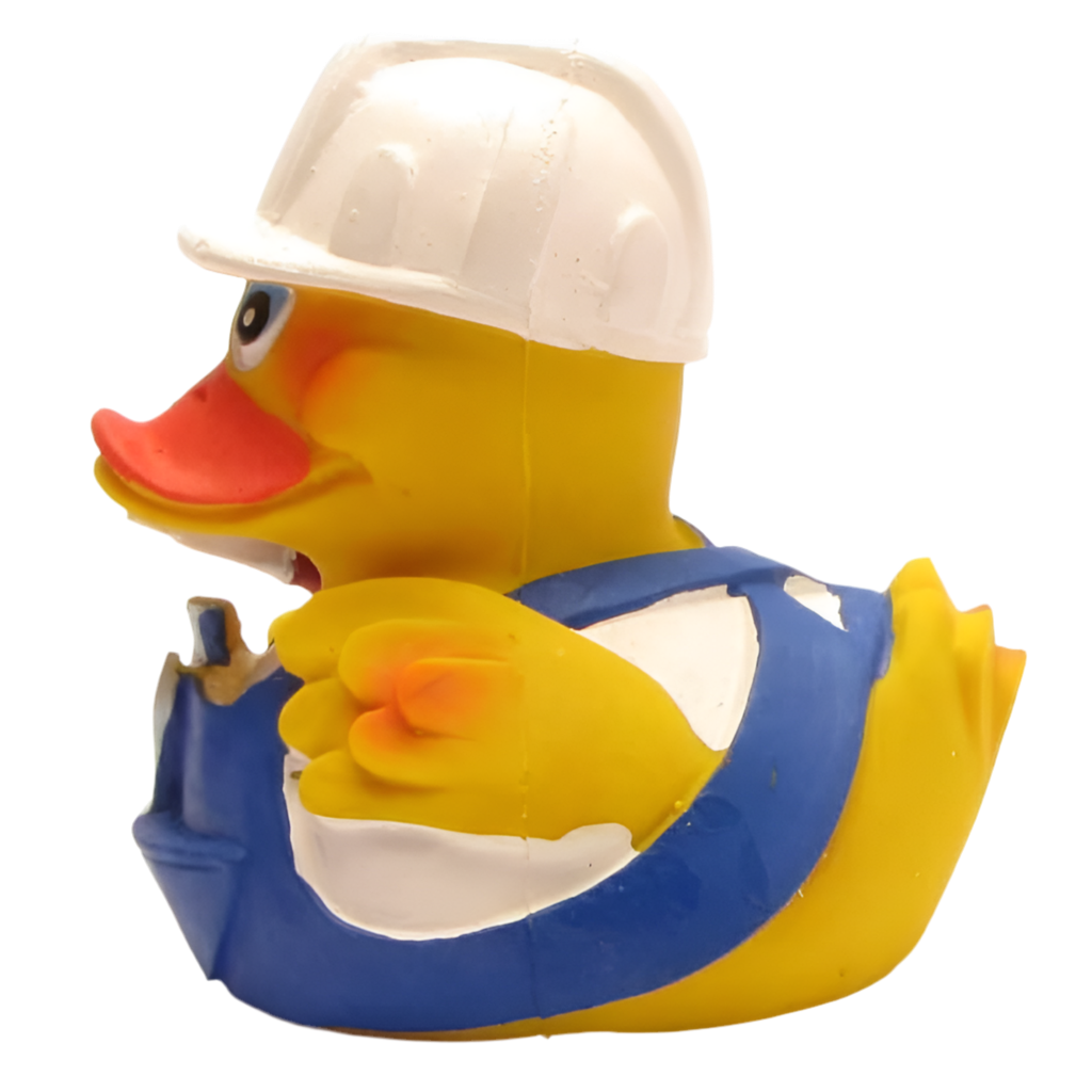 Canard Bricoleur