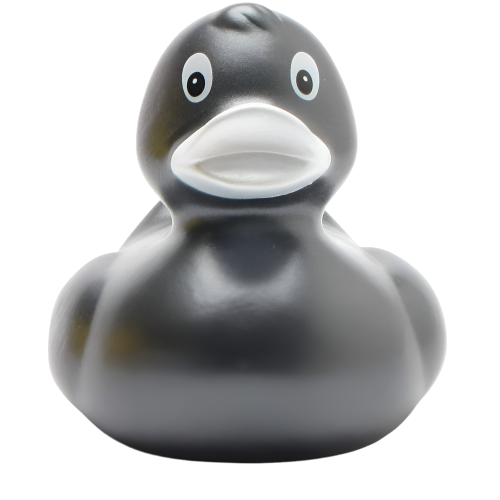 canard classique anthracite metallise