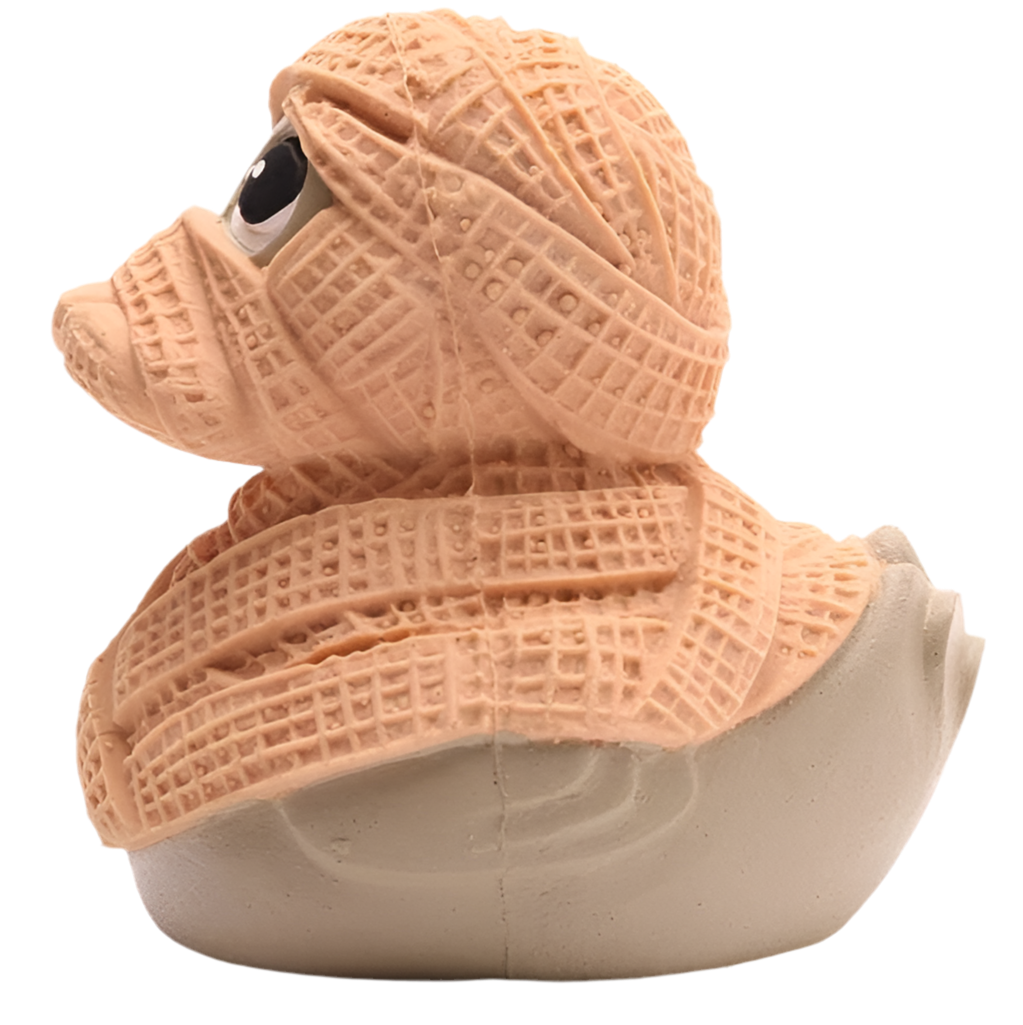 Mummy Duck