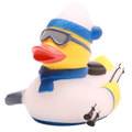 Blue Skiing Duck