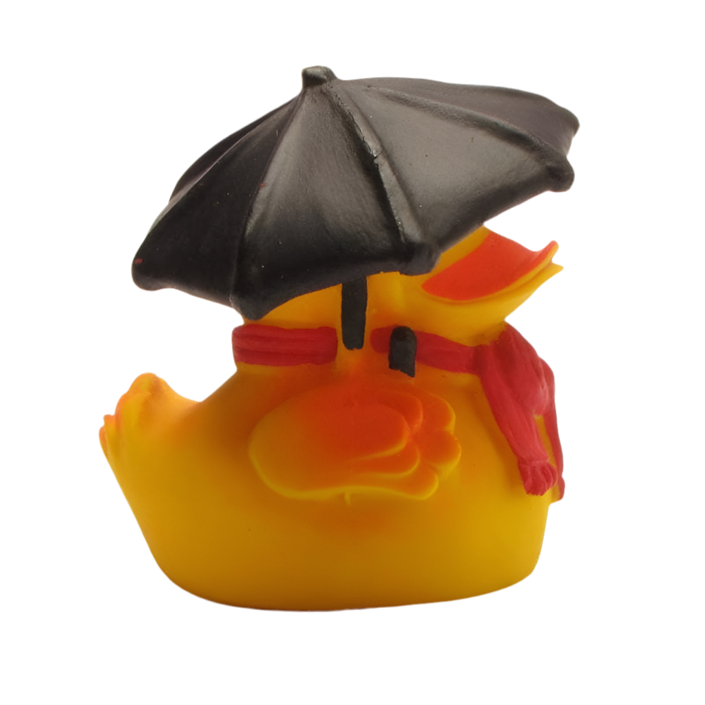 Regenwetter-Ente