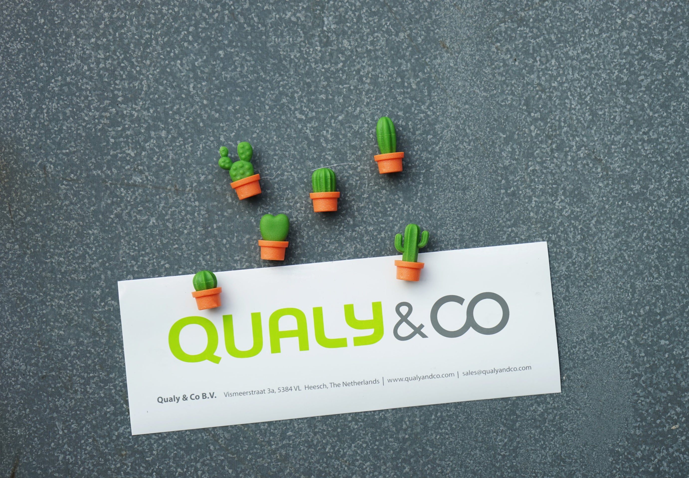 Magnets Cactus