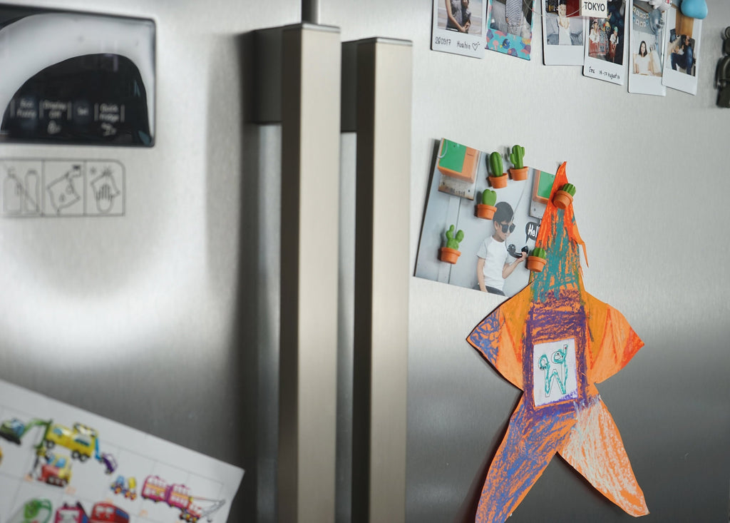 Magnets Cactus
