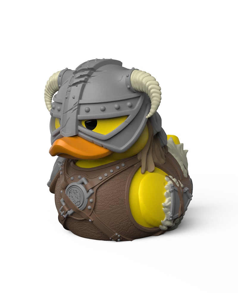 Skyrim ducks