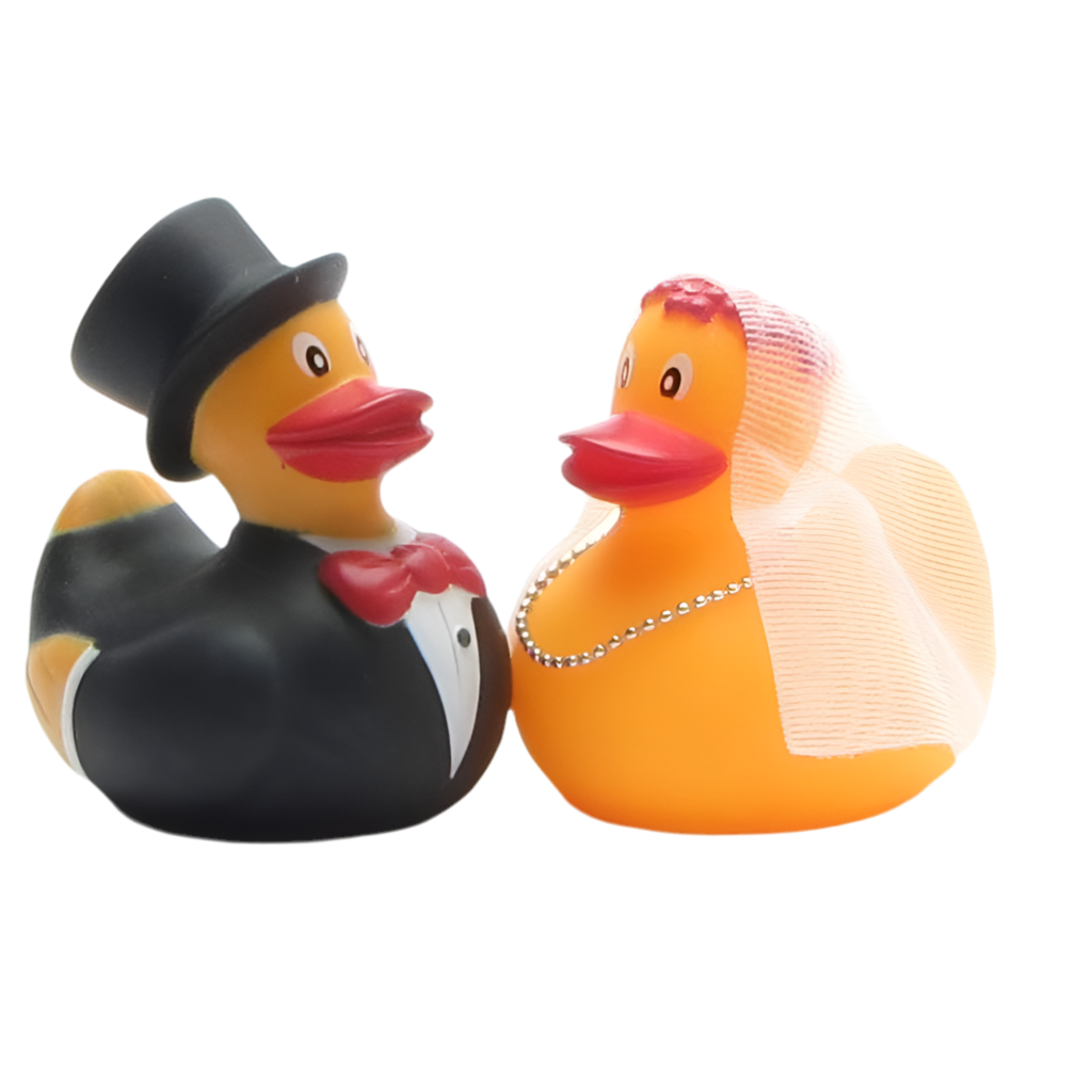 Married Duck Couple