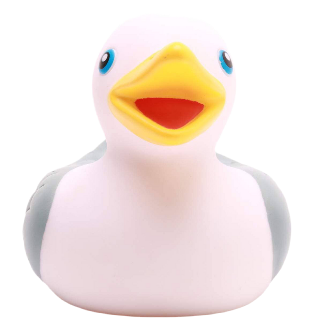Badende Möwe