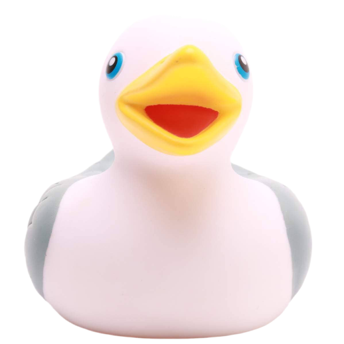 Badende Möwe
