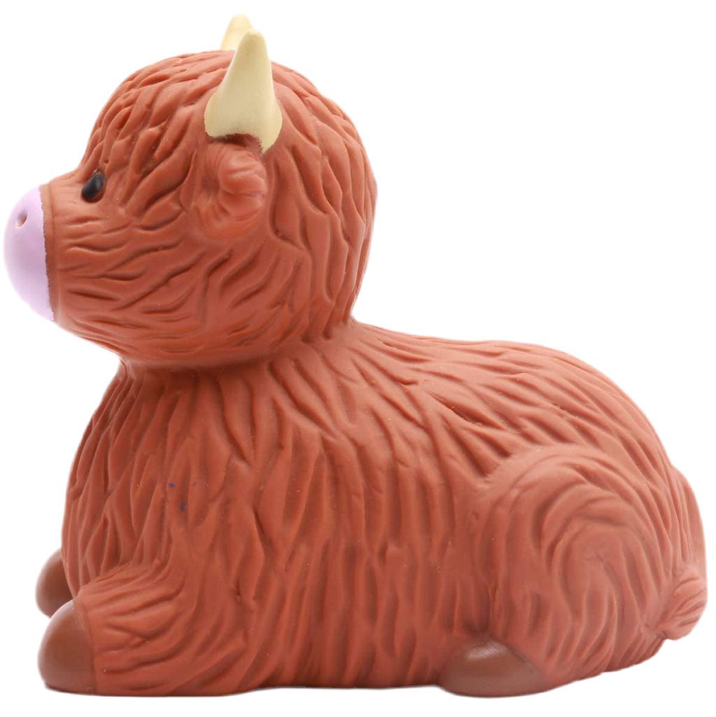 Bain Highland Cow
