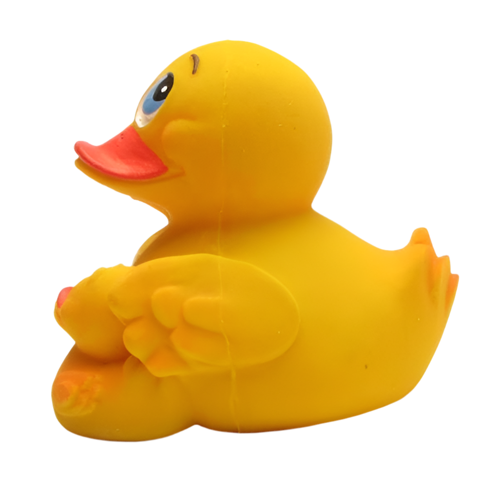 Duck Mom