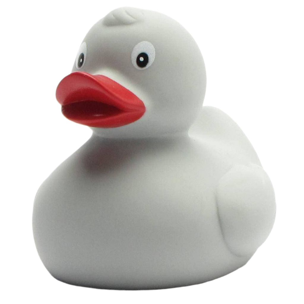 canard classique gris