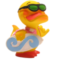 Canard Surfeur
