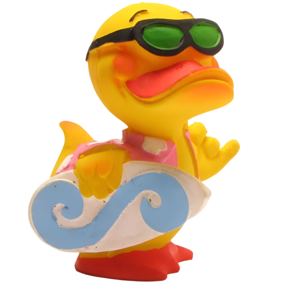 Canard Surfeur