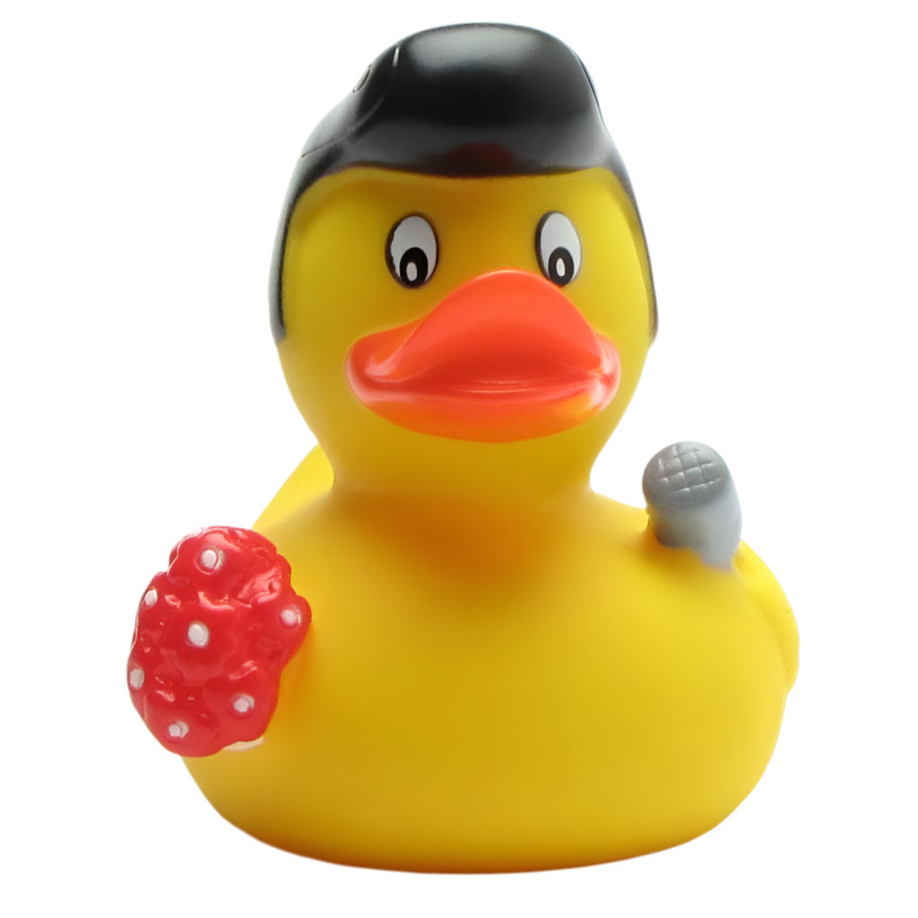 Rock'n'roll Duck