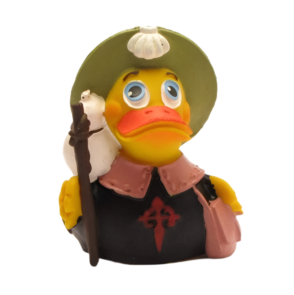 Wanderfalkenente von Compostela